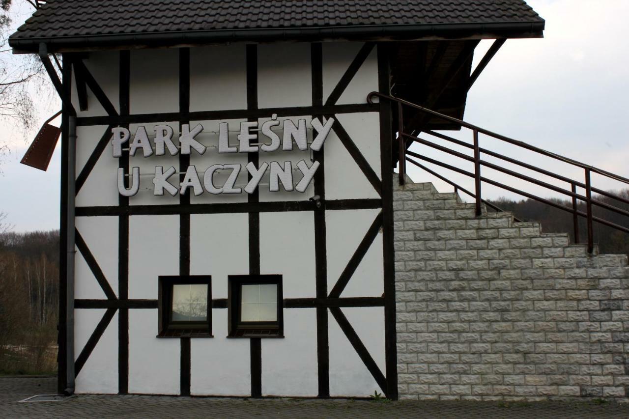 Hotel Park Lesny 'U Kaczyny' Rogow Exterior foto