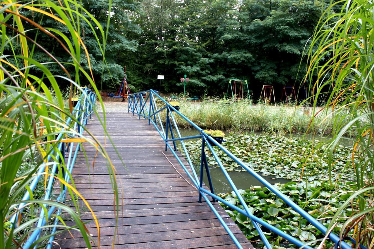 Hotel Park Lesny 'U Kaczyny' Rogow Exterior foto